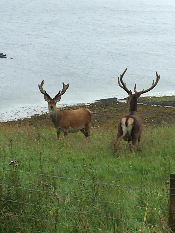 The Lambing Shed Villa Dunvegan  Exterior photo